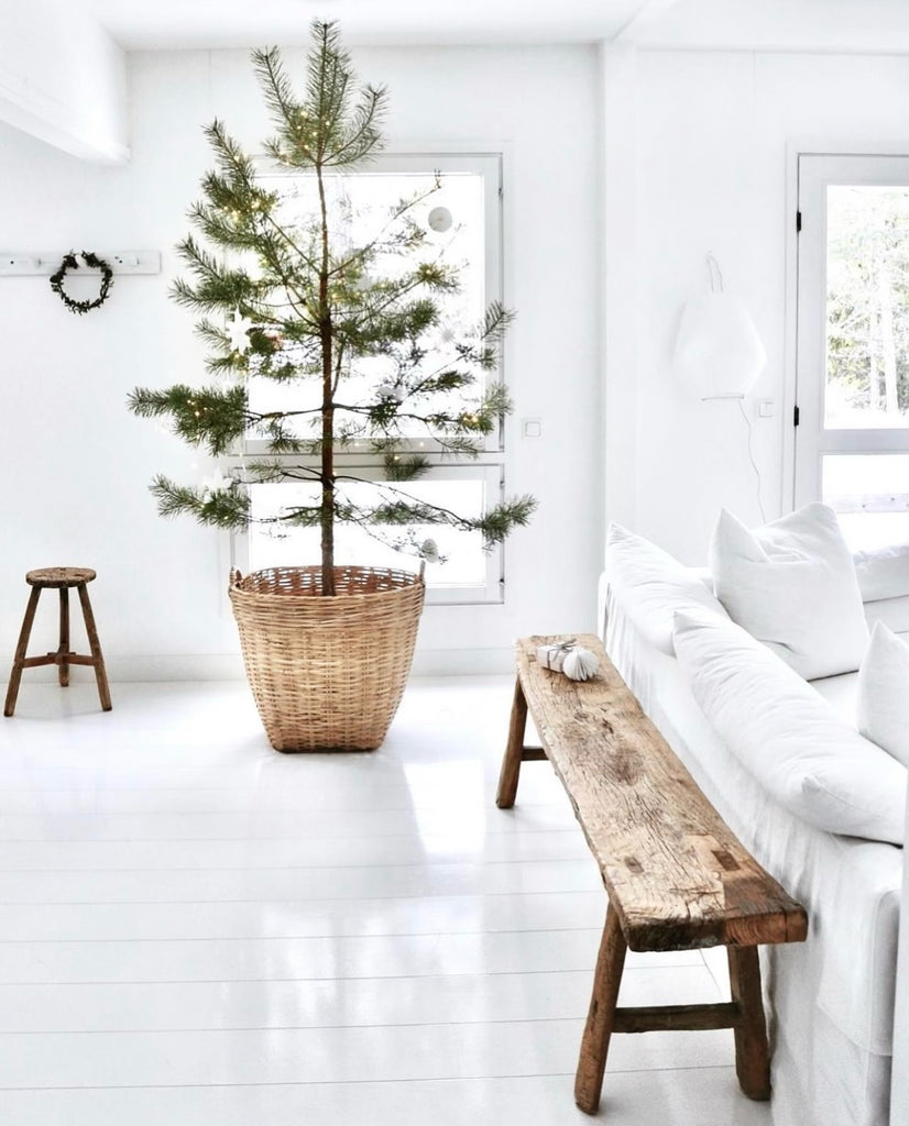How to live sustainably during the holidays